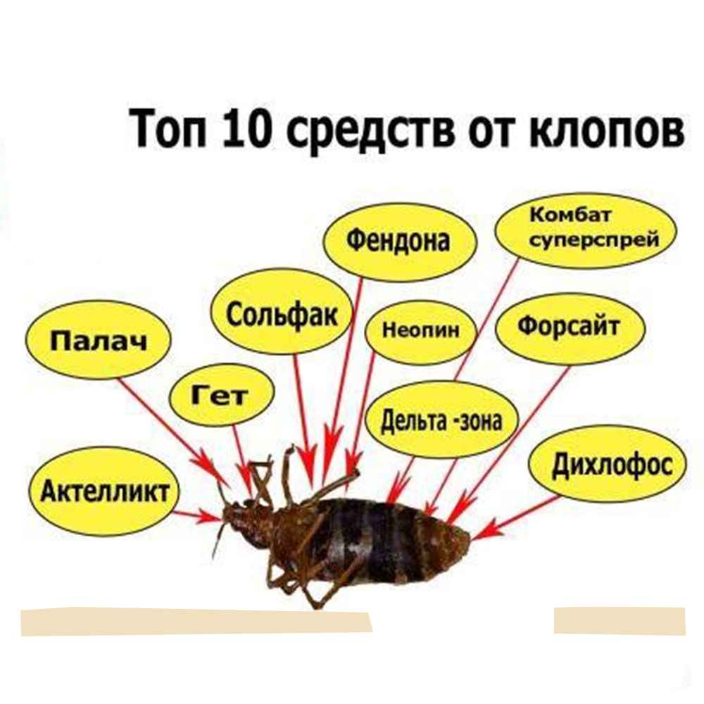 На фото описаны топ средств от клопов